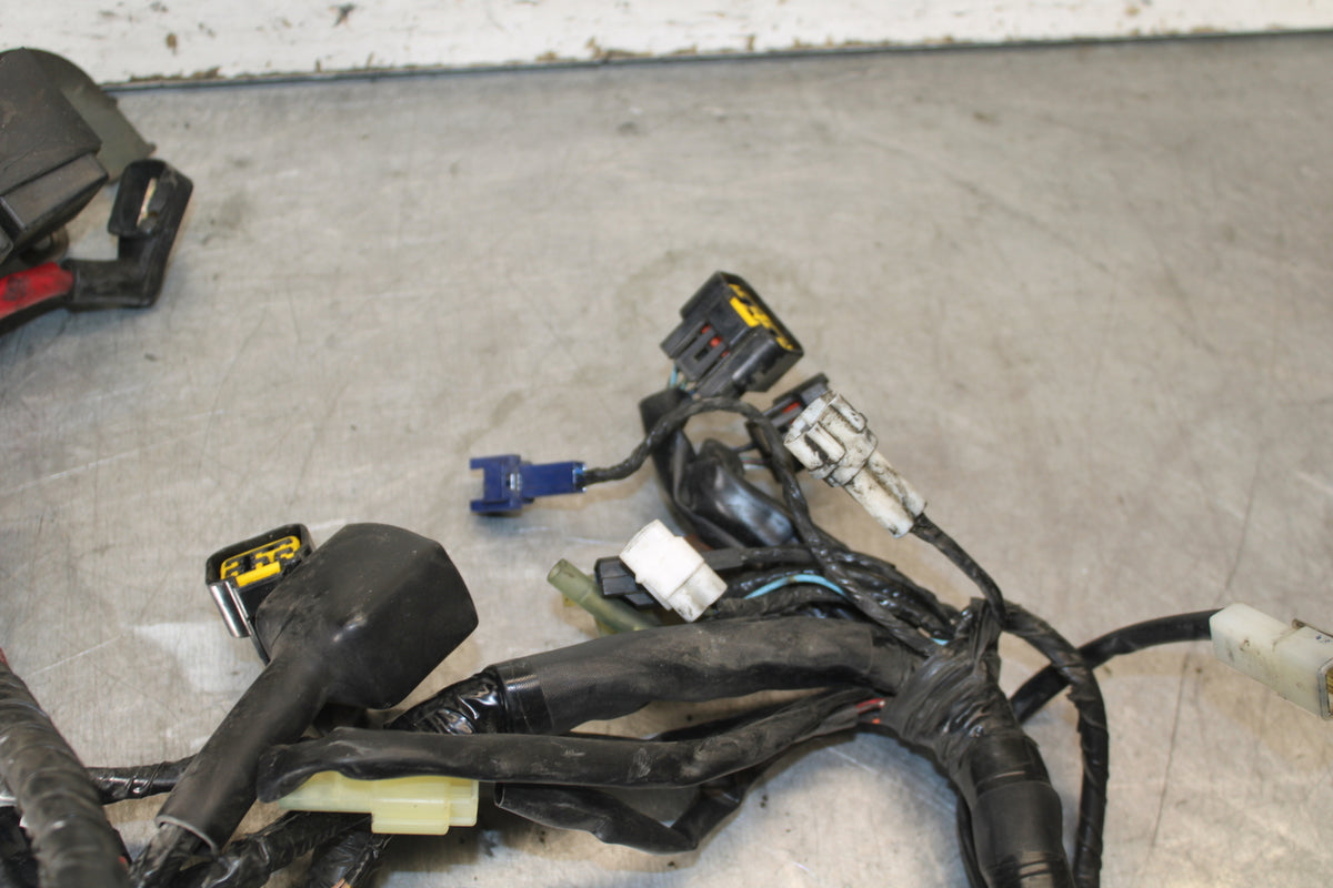 05-06 YAMAHA ROAD STAR XV1700A MAIN ENGINE WIRING HARNESS MOTOR WIRE LOOM BB703