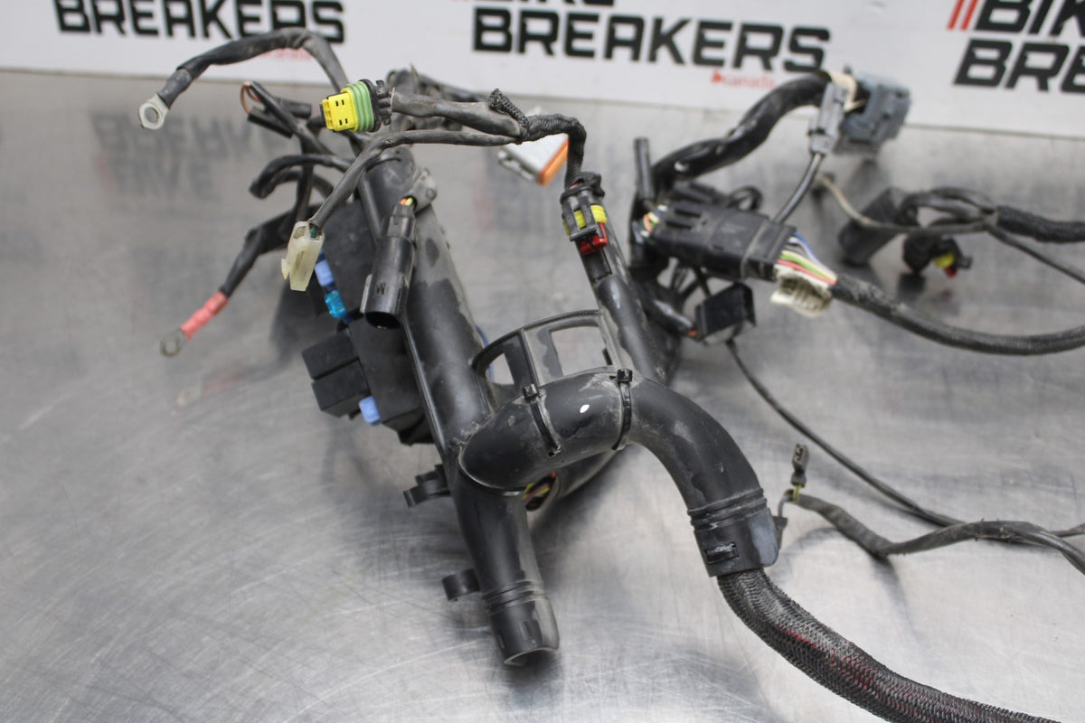 07 HARLEY-DAVIDSON SPORTSTER 1200 XL1200C MAIN ENGINE WIRING HARNESS  BB833