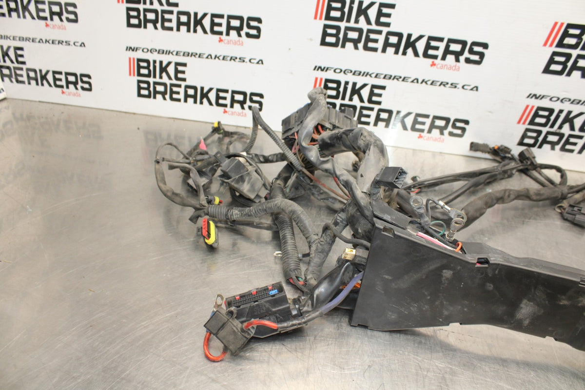 08 HARLEY-DAVIDSON ELECTRA GLIDE POLICE EFI FLHTPI MAIN WIRING HARNESS BB816