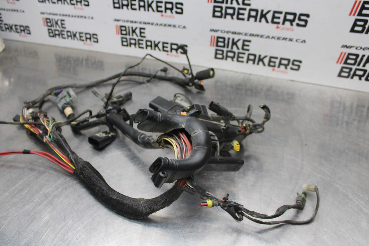08 HARLEY-DAVIDSON SPORTSTER 1200 MAIN ENGINE WIRING HARNESS WIRE LOOM BB794