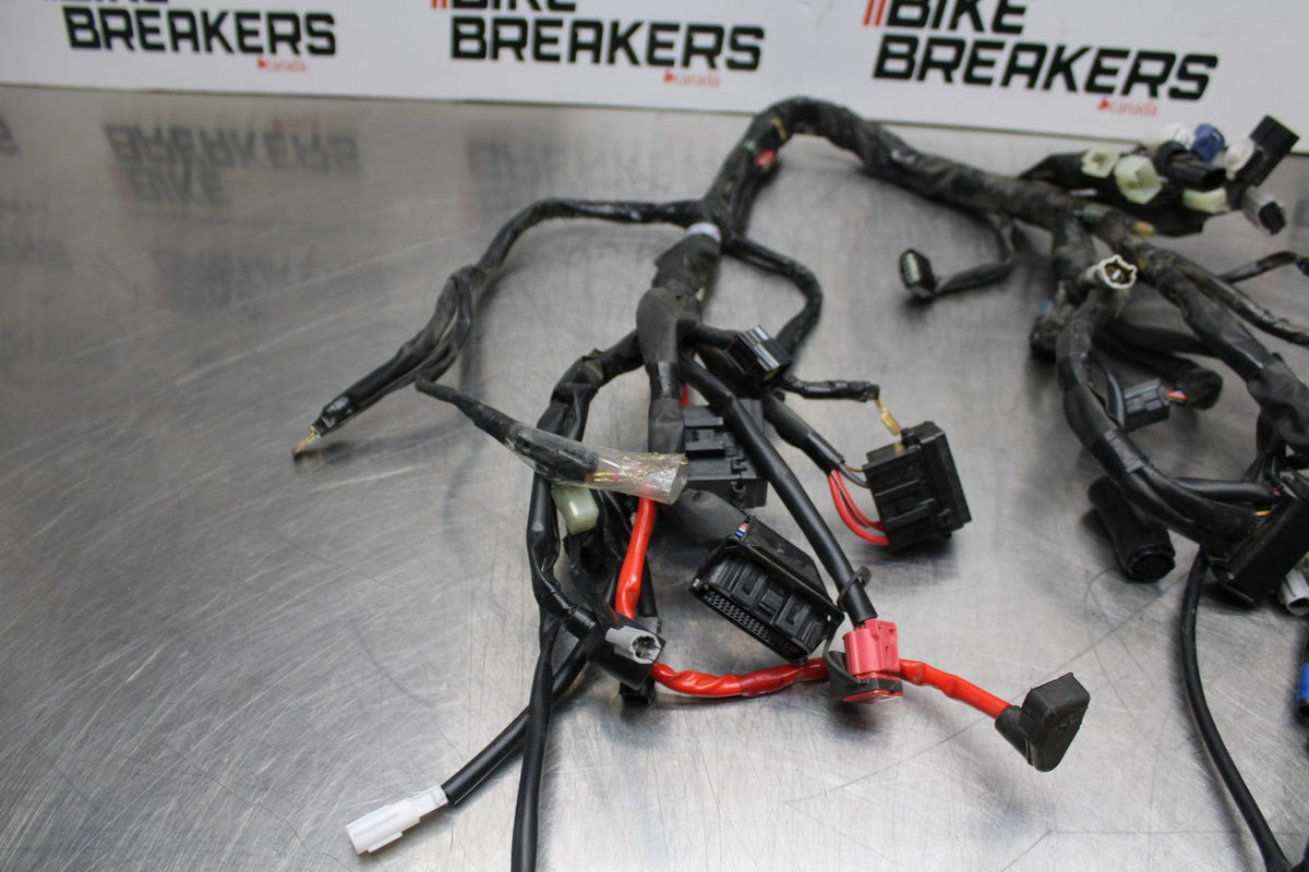 22-25 YAMAHA YZF R7 MAIN ENGINE WIRING HARNESS MOTOR WIRE LOOM  BB176