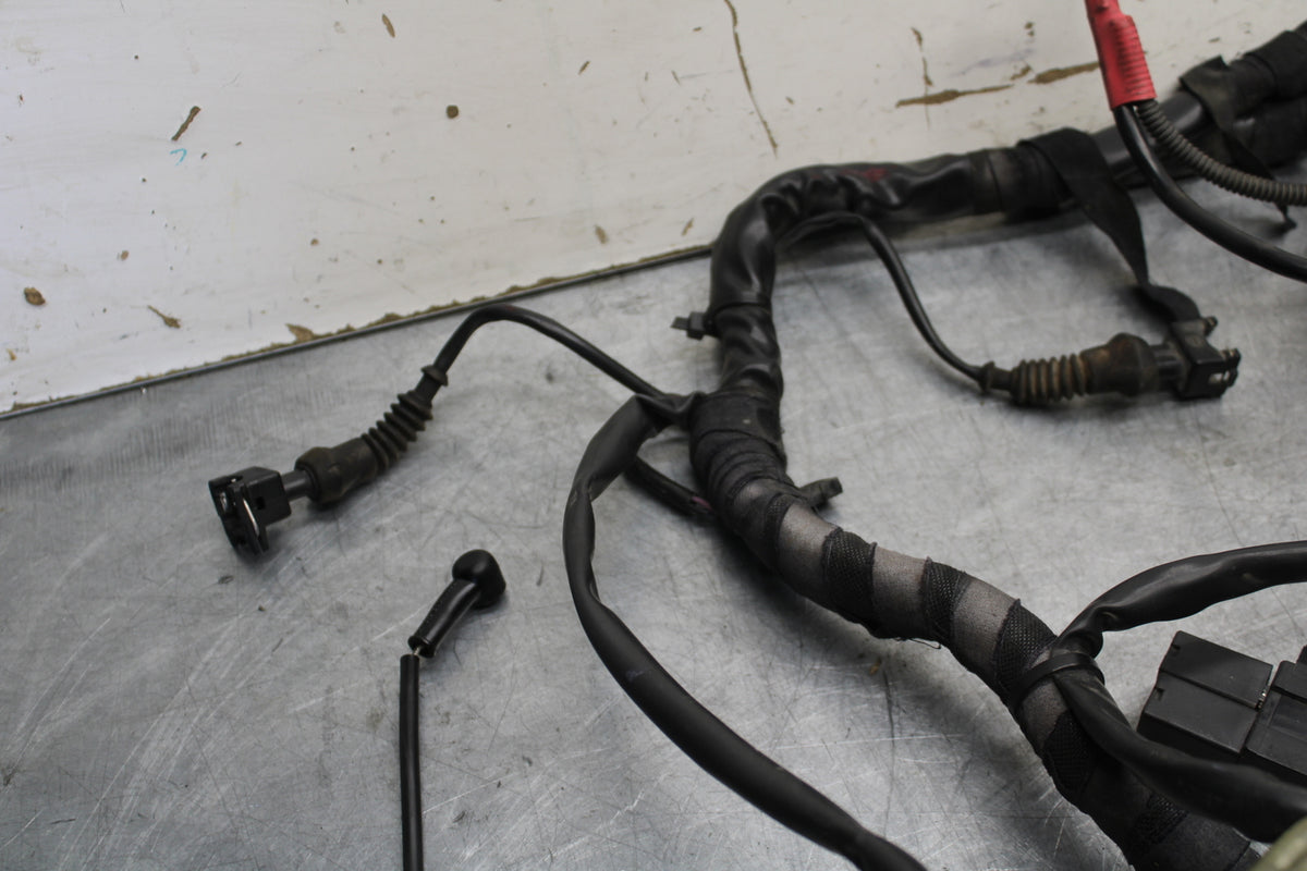 06-07 DUCATI MONSTER 695 MAIN ENGINE WIRING HARNESS MOTOR WIRE LOOM BB674