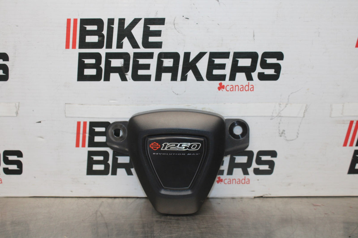 22 HARLEY-DAVIDSON PAN AMERICA 1250 RIGHT ENGINE SIDE COVER PANEL TRIM BB910
