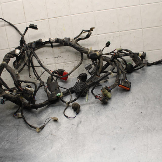 17 KAWASAKI VERSYS_X 300 MAIN ENGINE WIRING HARNESS MOTOR WIRE LOOM BB504