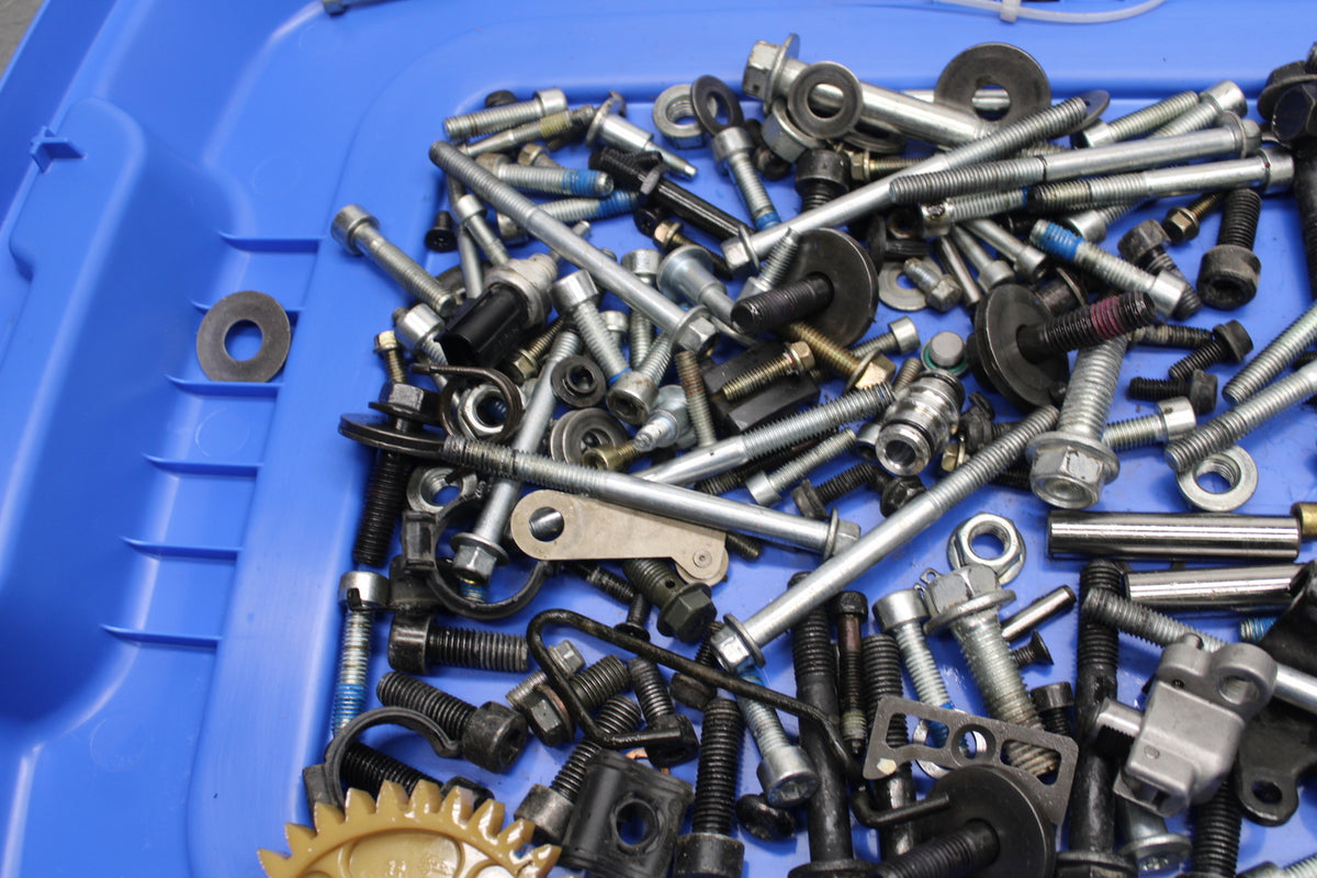 22-24 INDIAN CHIEF BOBBER DARK HORSE MOUNTING BOLTS HARDWARE MOTOR SCREWS BB717