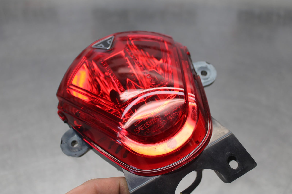 24-26 TRIUMPH DAYTONA 660 REAR TAIL TAILLIGHT BACK BRAKE LIGHT BB01