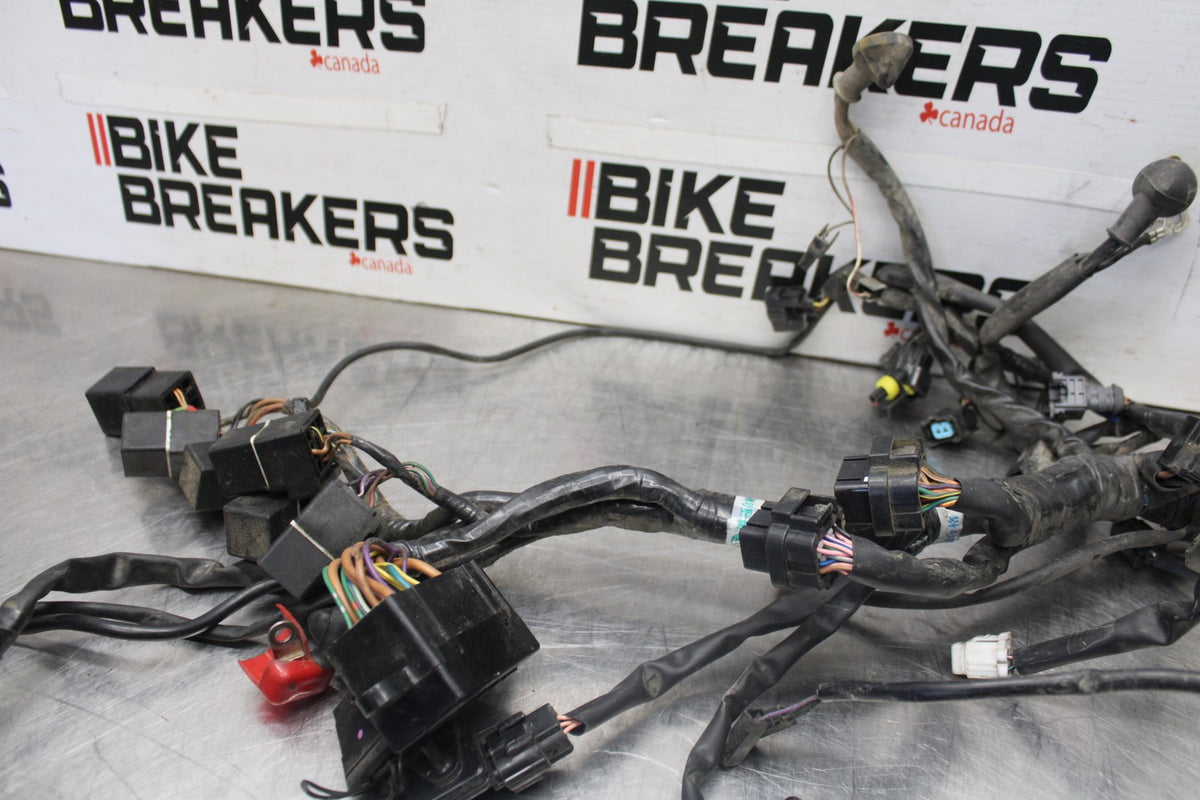 05-08 TRIUMPH SPEED TRIPLE 1050 MAIN ENGINE WIRING HARNESS MOTOR WIRE LOOM BB933