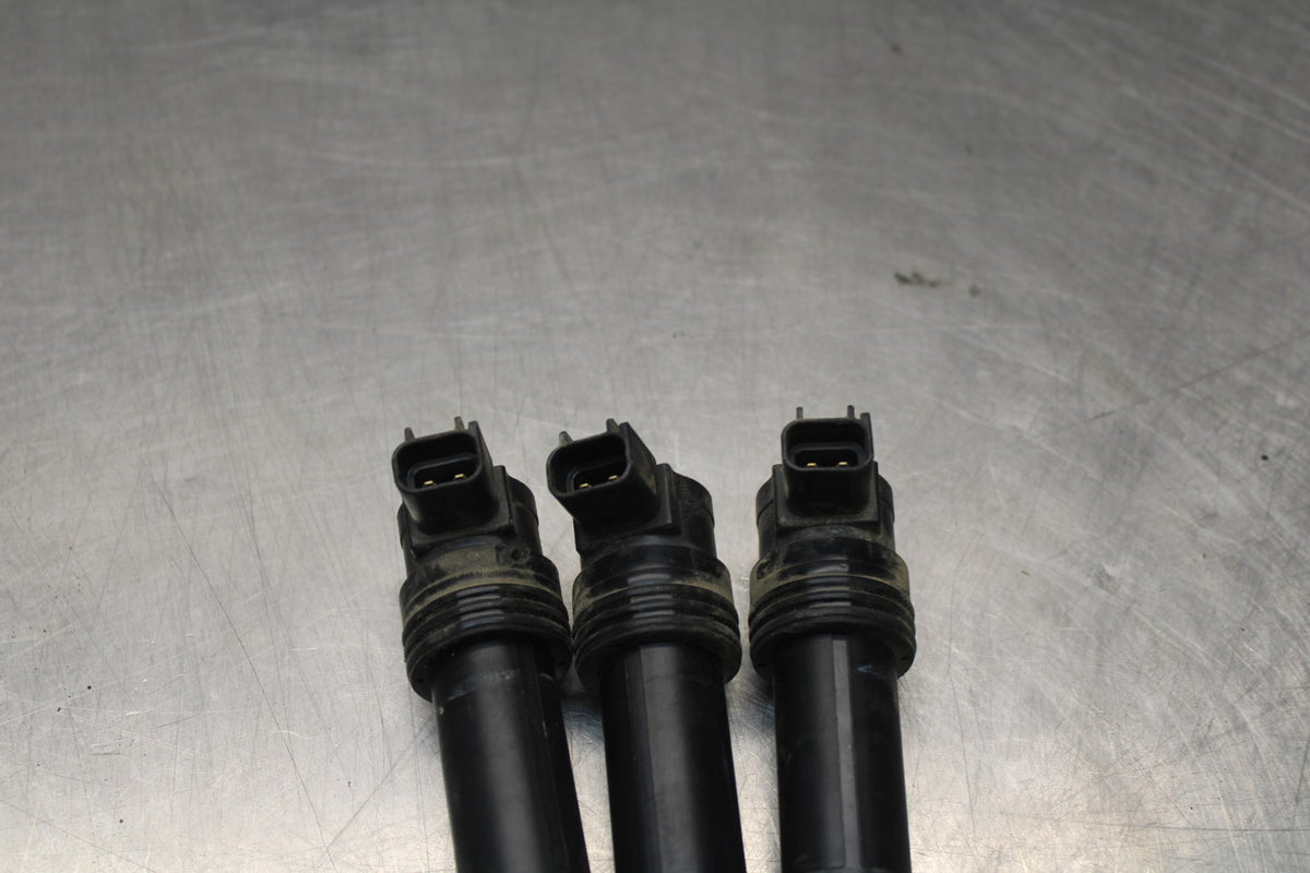 15 TRIUMPH TIGER 800 IGNITION COILS COIL SPARK PLUG CAPS BB873