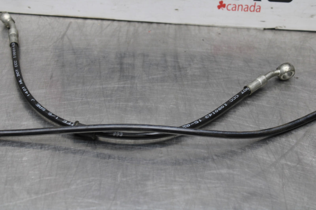 16 DUCATI 959 PANIGALE FRONT BRAKE CALIPER HOSES LINES BB912