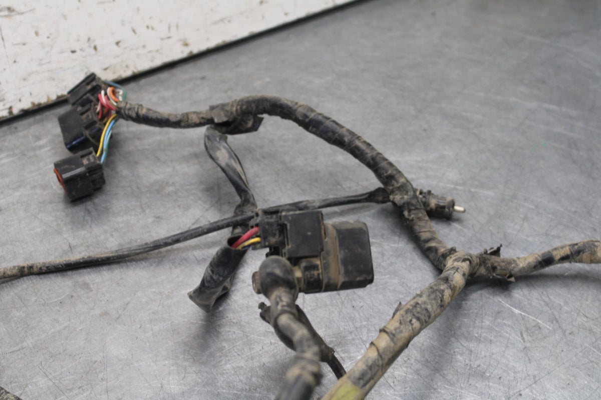 01-05 YAMAHA RAPTOR 660R MAIN ENGINE WIRING HARNESS MOTOR WIRE LOOM BB695