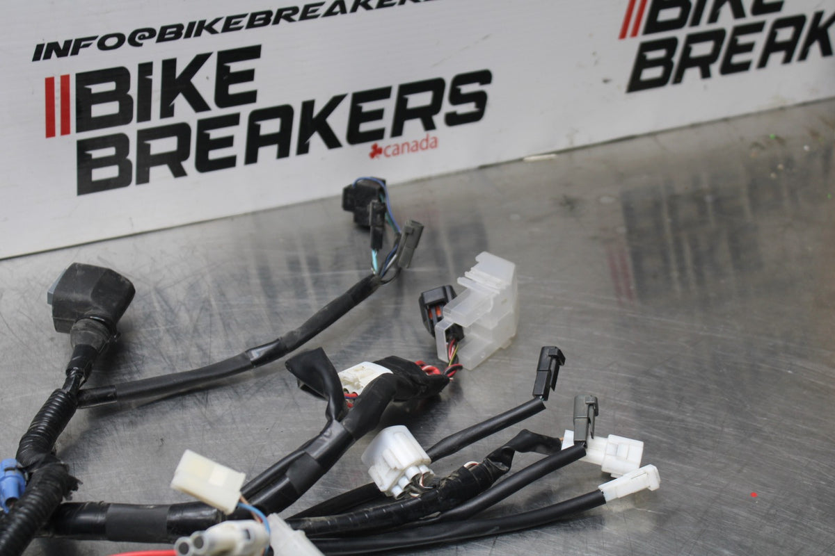 17-24 SUZUKI SV650 MAIN ENGINE WIRING HARNESS MOTOR WIRE LOOM BB829