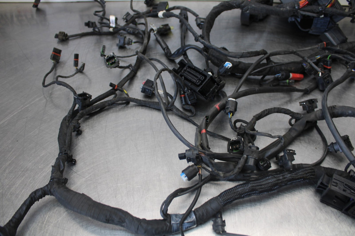 17-20 BMW S1000R FULL ENGINE WIRING HARNESS MOTOR WIRE LOOM BB909