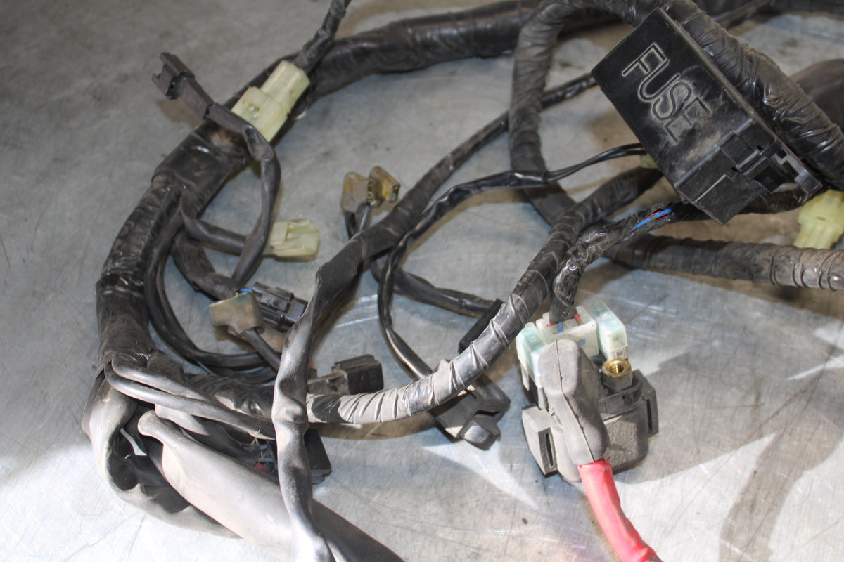 05-06 YAMAHA ROAD STAR XV1700A MAIN ENGINE WIRING HARNESS MOTOR WIRE LOOM BB703