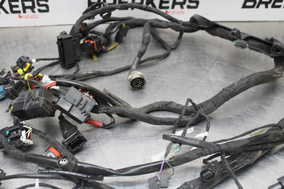 16 DUCATI 959 PANIGALE MAIN ENGINE WIRING HARNESS MOTOR WIRE LOOM BB912
