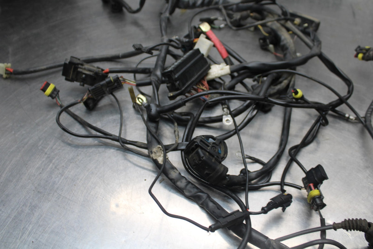 02 DUCATI MONSTER 620 MAIN ENGINE WIRING HARNESS MOTOR WIRE LOOM BB851