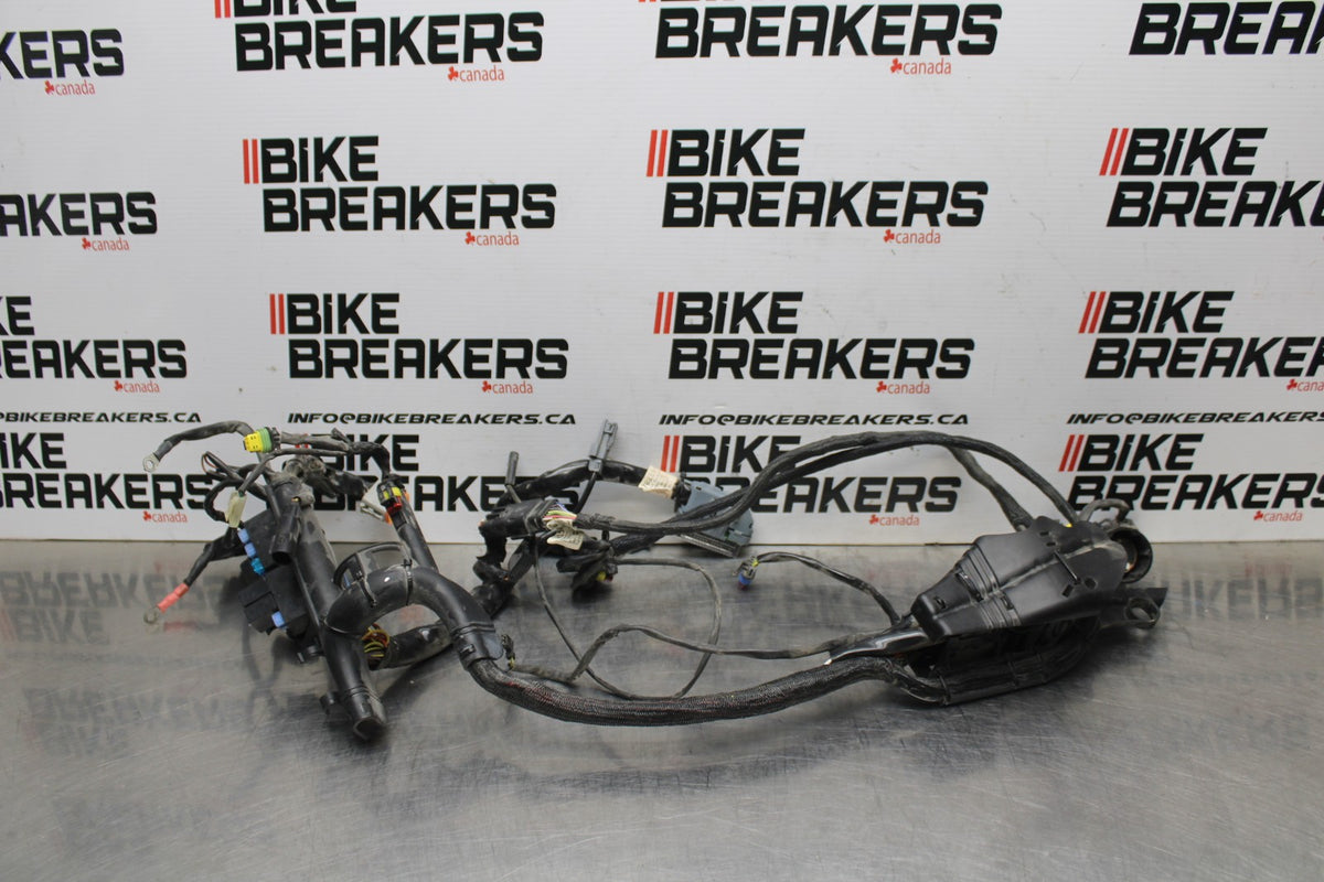 07 HARLEY-DAVIDSON SPORTSTER 1200 XL1200C MAIN ENGINE WIRING HARNESS  BB833