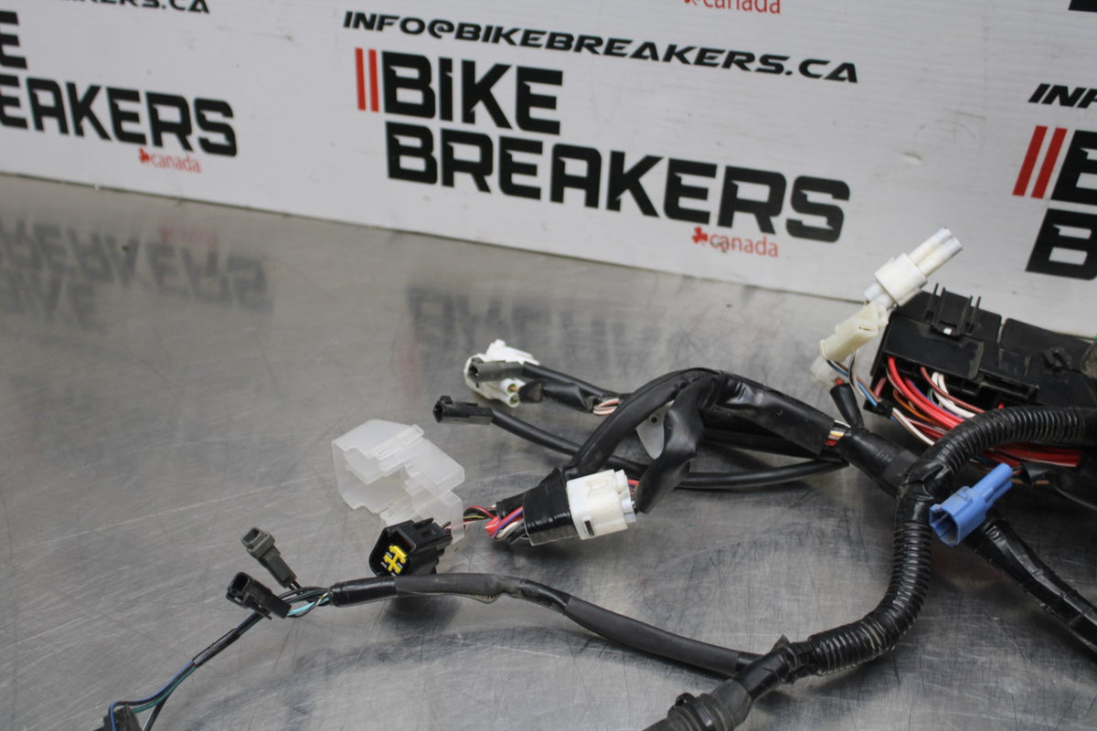 17-24 SUZUKI SV650 MAIN ENGINE WIRING HARNESS MOTOR WIRE LOOM BB829