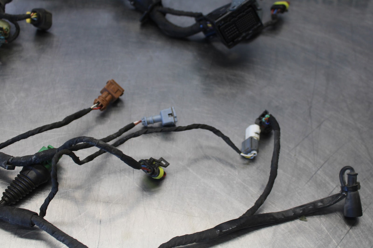 24 APRILIA TUONO V4 1100 FACTORY ABS SUB WIRING HARNESS SUB WIRE LOOM BB887