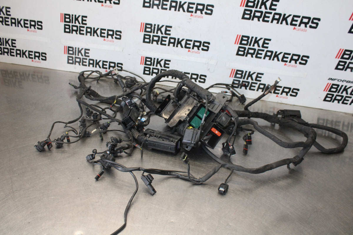 17-20 BMW S1000R FULL ENGINE WIRING HARNESS MOTOR WIRE LOOM BB909