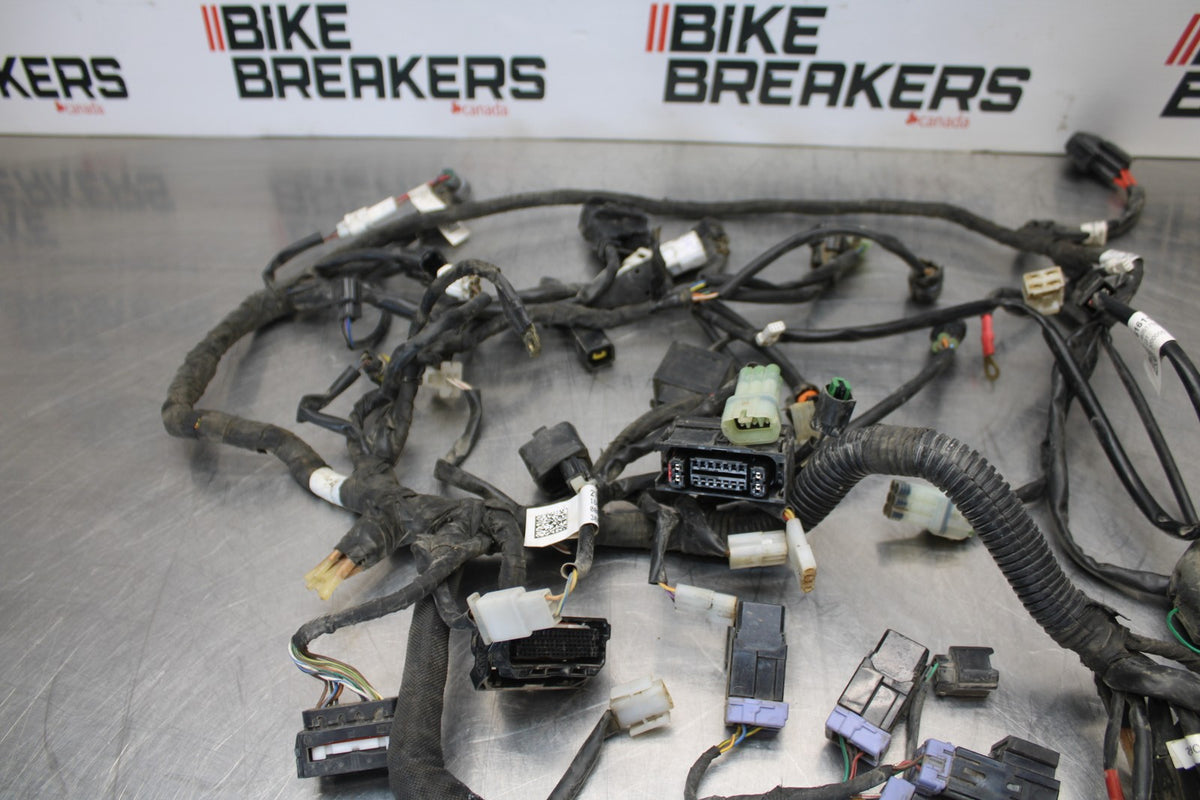 18-22 HUSQVARNA VITPILEN 701 MAIN ENGINE WIRING HARNESS MOTOR WIRE LOOM BB198