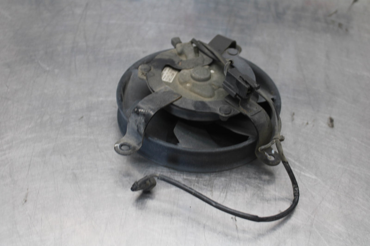 00-01 HONDA CBR929RR ENGINE RADIATOR COOLING FAN BB925