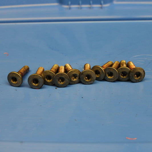 06-07 KAWASAKI NINJA ZX10R FRONT BRAKE ROTOR BOLTS DISC HARDWARE SCREW SET BB186