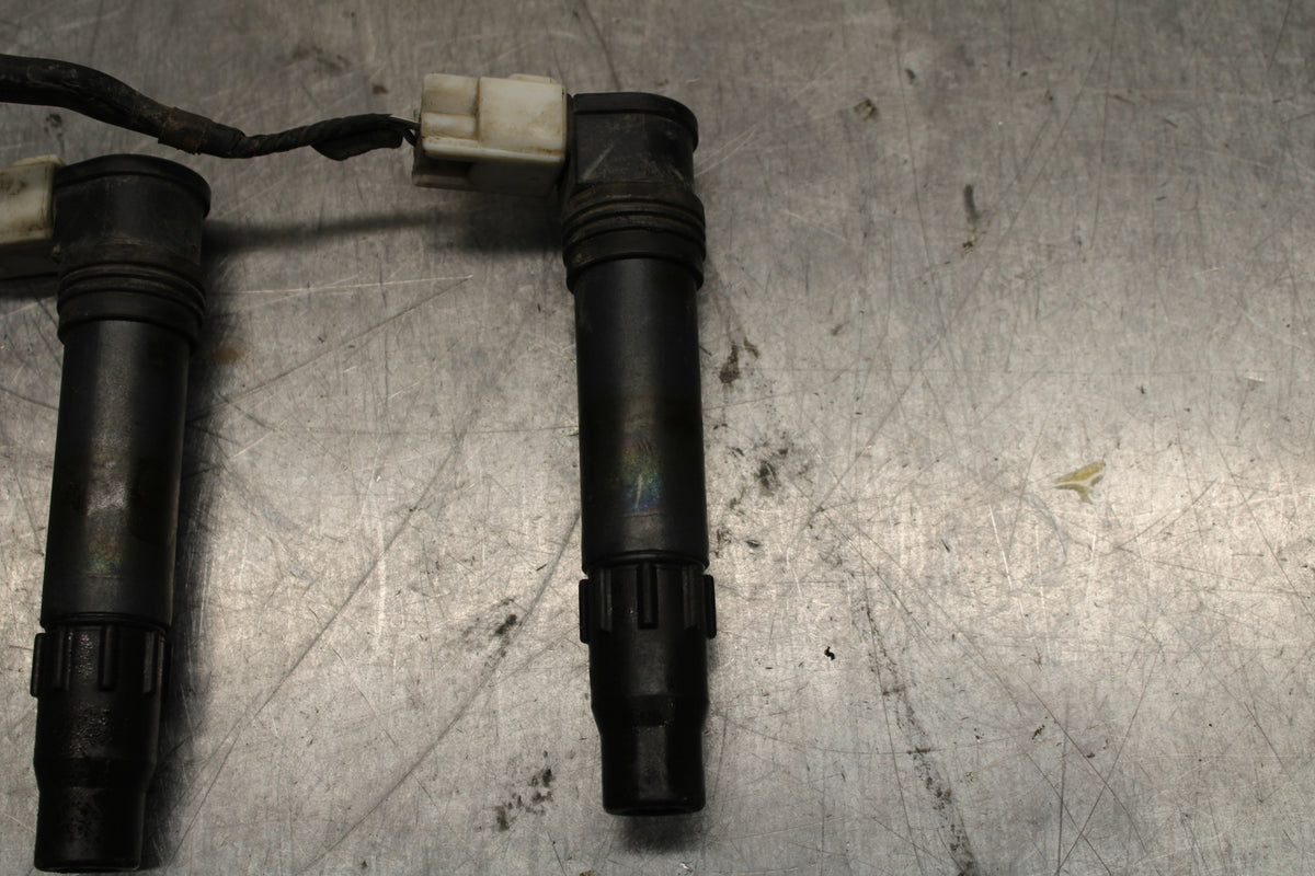 05-06 HONDA CBR600RR IGNITION COILS COIL SPARK PLUG CAPS BB739