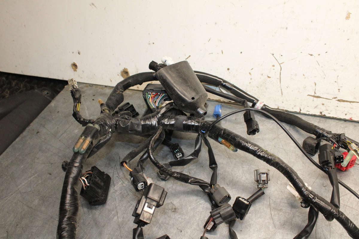 19-22 KAWASAKI Z400 MAIN ENGINE WIRING HARNESS MOTOR WIRE LOOM BB738