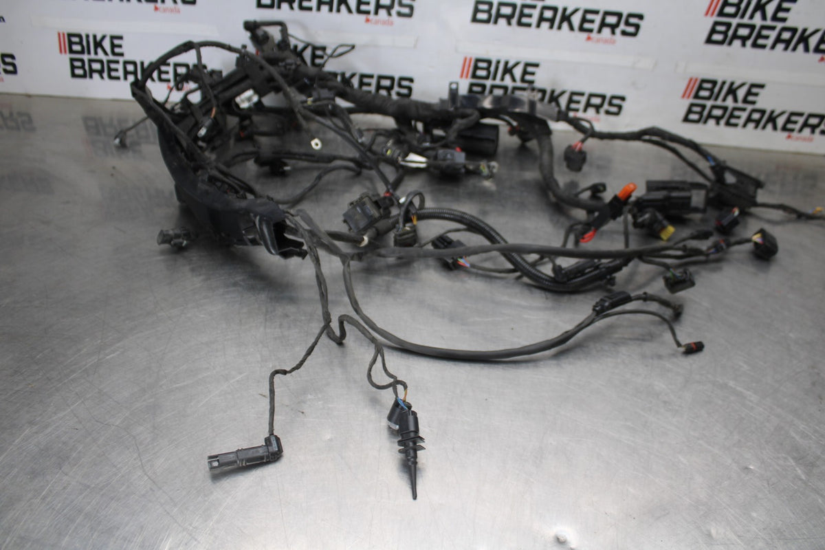20-23 BMW F900R MAIN ENGINE WIRING HARNESS MOTOR WIRE LOOM BB923