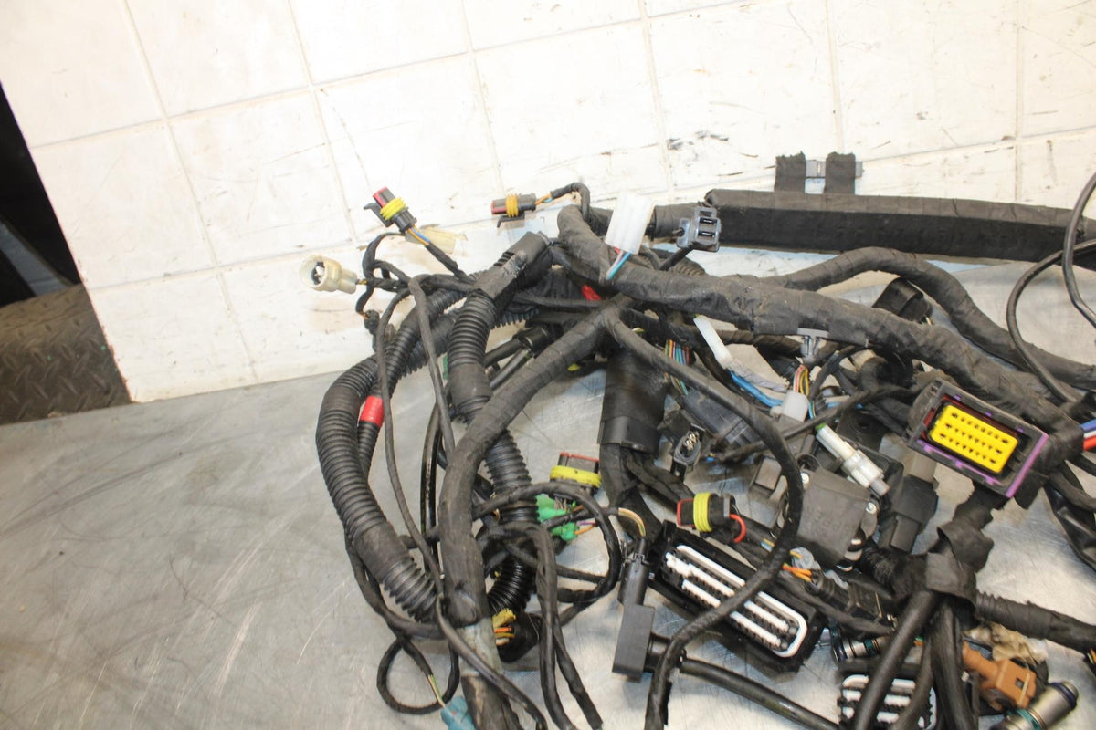2010 Aprilia RSV1000R MAIN ENGINE WIRING HARNESS MOTOR WIRE LOOM BB513