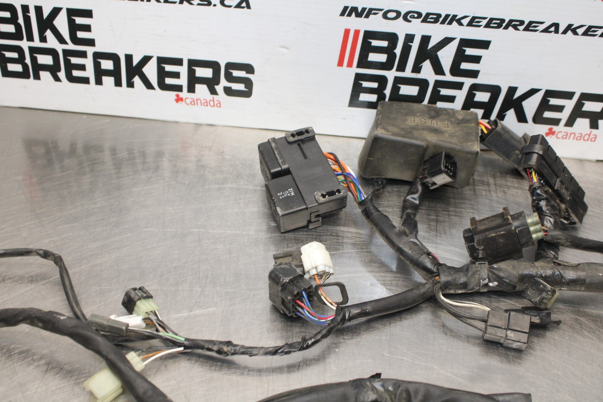 03 SUZUKI SV650 MAIN ENGINE WIRING HARNESS MOTOR WIRE LOOM BB846
