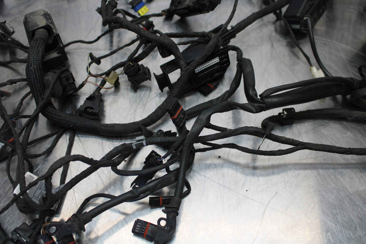 06-12 BMW F800ST MAIN ENGINE WIRING HARNESS MOTOR WIRE LOOM BB144