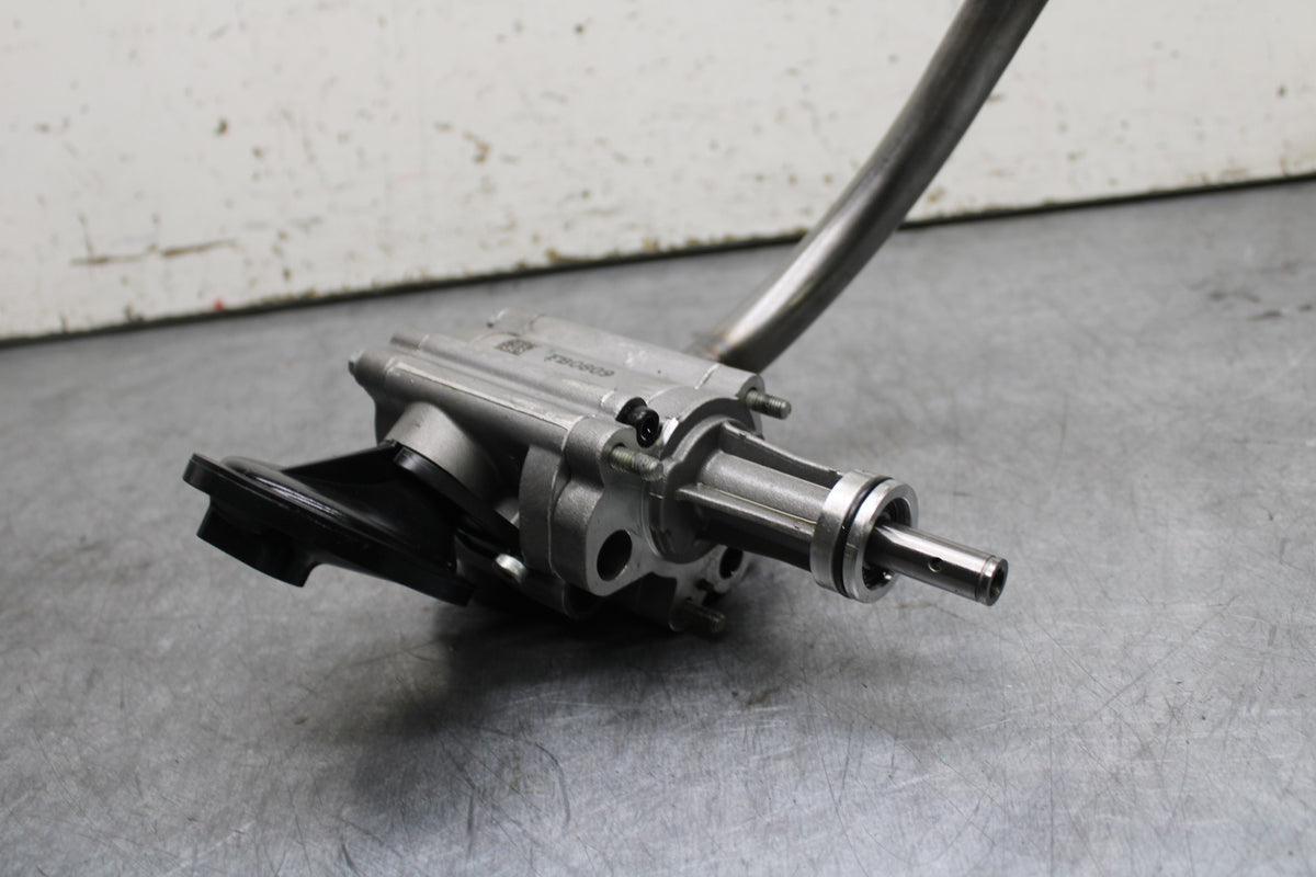 22-24 INDIAN CHIEF BOBBER DARK HORSE ENGINE MOTOR OIL PUMP BB717