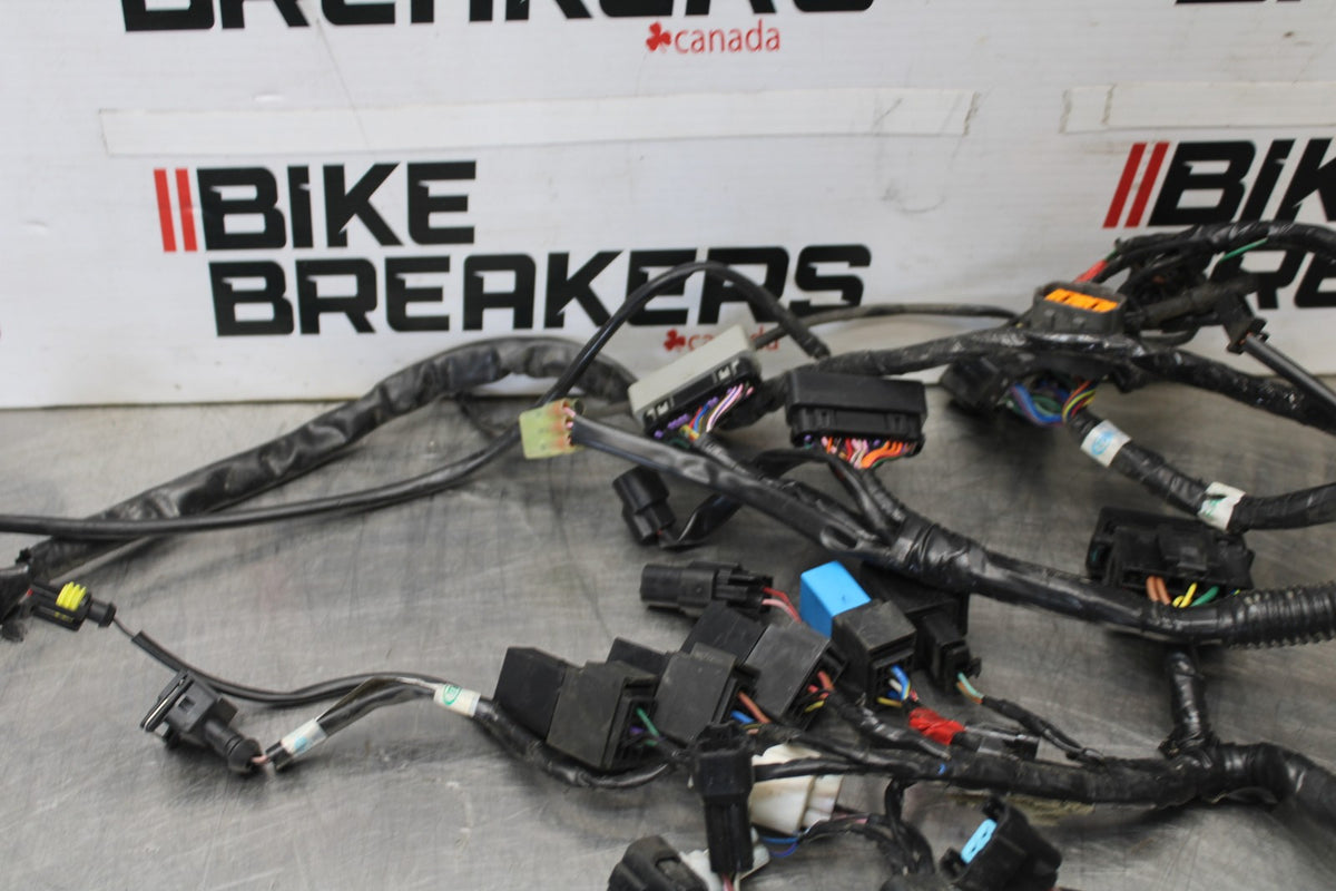 12 TRIUMPH STREET TRIPLE R MAIN ENGINE WIRING HARNESS MOTOR WIRE LOOM BB914