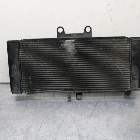 07-12 SUZUKI BANDIT GSF 650 F GSX650F/ ENGINE RADIATOR MOTOR COOLER COOLING BB90
