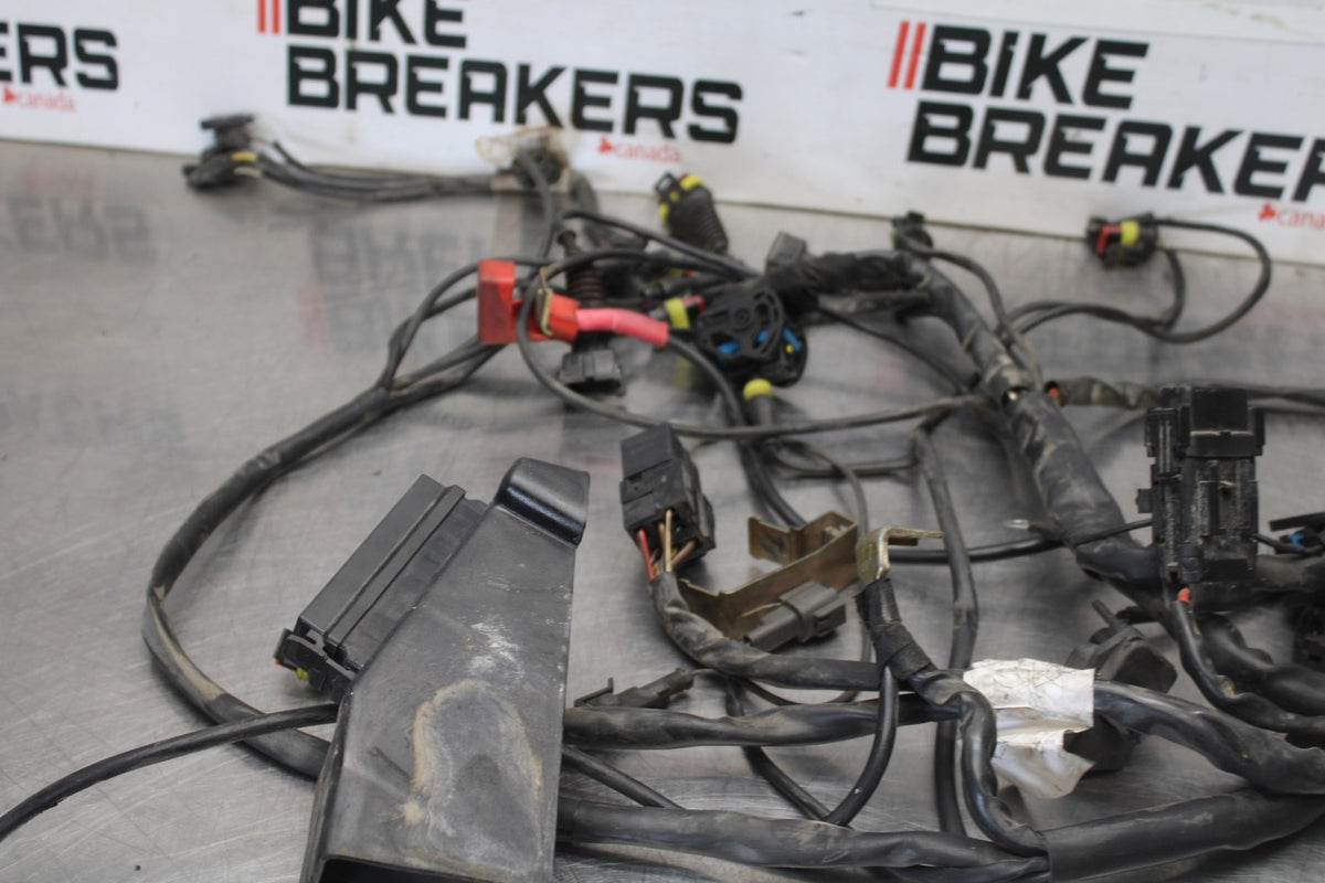 05 DUCATI SUPERSPORT 800 MAIN ENGINE WIRING HARNESS MOTOR WIRE LOOM BB913