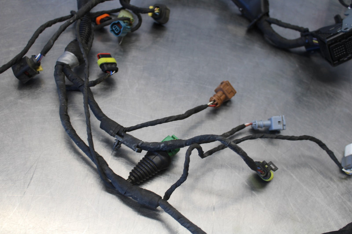 24 APRILIA TUONO V4 1100 FACTORY ABS SUB WIRING HARNESS SUB WIRE LOOM BB887