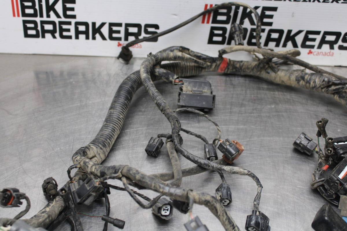 15 TRIUMPH TIGER 800 MAIN ENGINE WIRING HARNESS MOTOR WIRE LOOM BB873