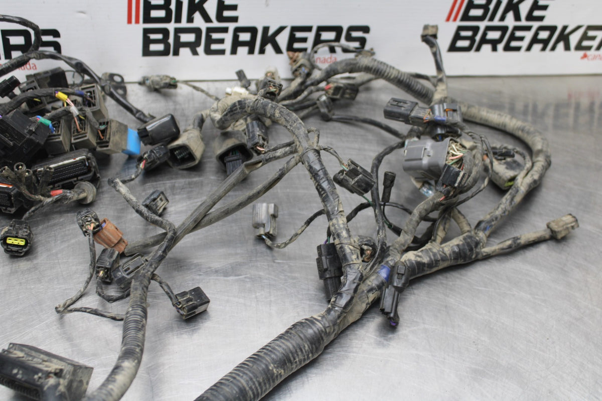 15 TRIUMPH TIGER 800 MAIN ENGINE WIRING HARNESS MOTOR WIRE LOOM BB873