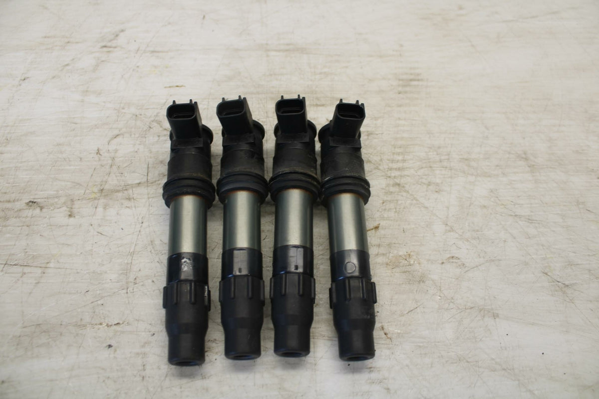 07-12 SUZUKI BANDIT 650F IGNITION COILS COIL SPARK PLUG CAPS BB280