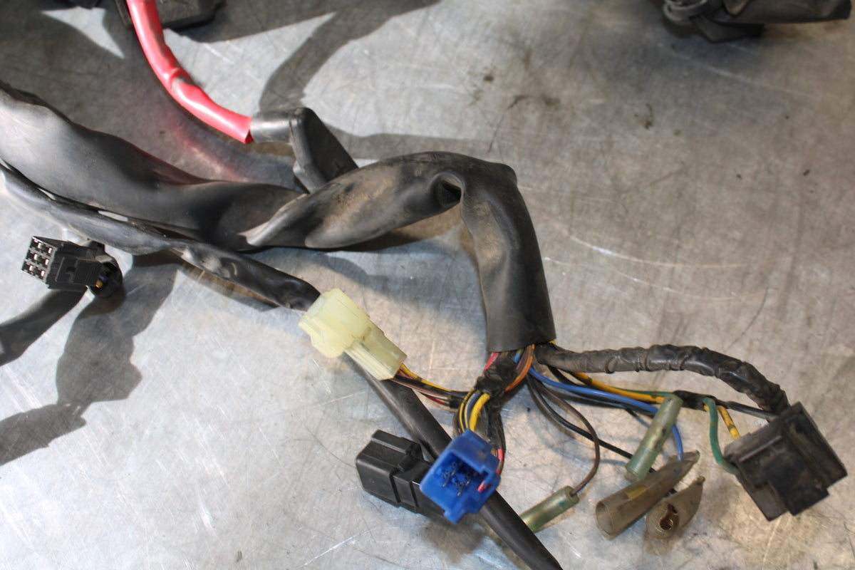05-06 YAMAHA ROAD STAR XV1700A MAIN ENGINE WIRING HARNESS MOTOR WIRE LOOM BB703