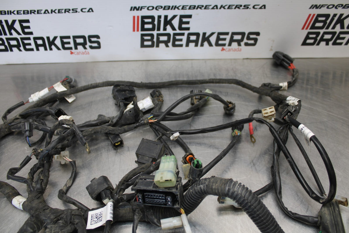 18-22 HUSQVARNA VITPILEN 701 MAIN ENGINE WIRING HARNESS MOTOR WIRE LOOM BB198