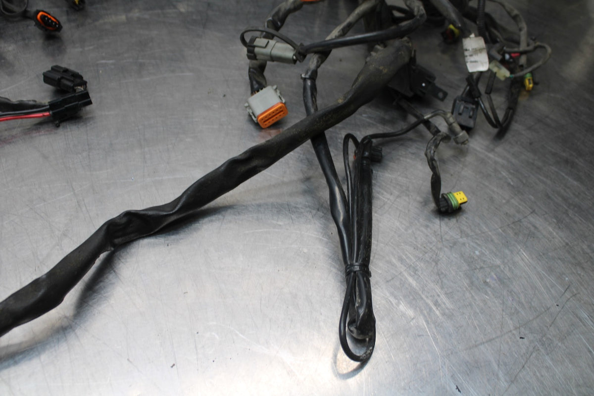 08 HARLEY-DAVIDSON ELECTRA GLIDE POLICE EFI FLHTPI MAIN WIRING HARNESS BB816