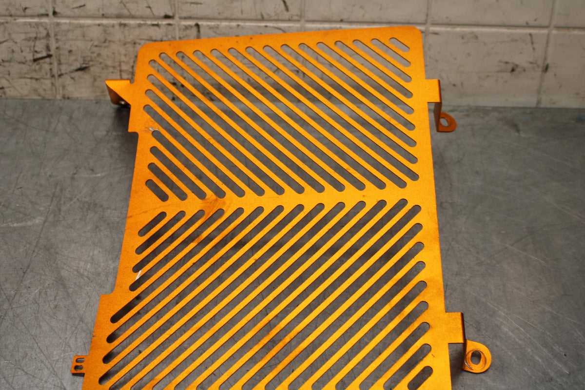 19-20 KTM 790 DUKE 790 ENGINE RADIATOR GUARD BB570
