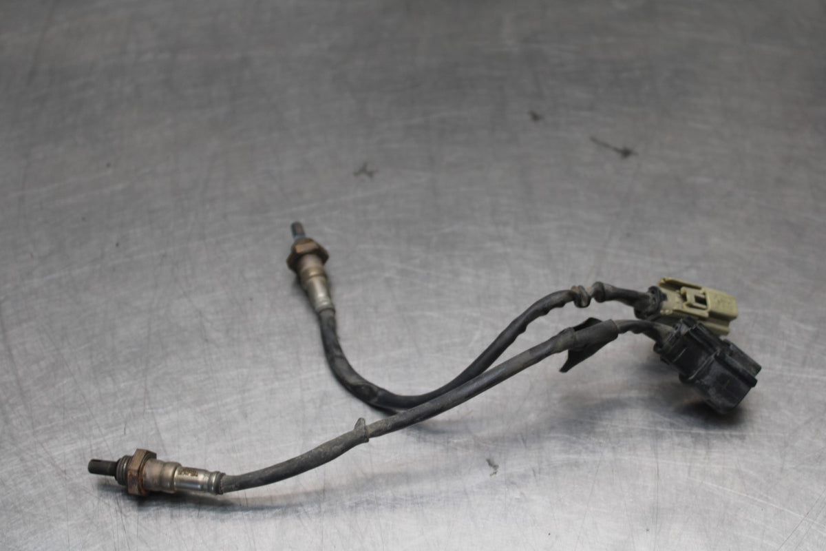 22 HARLEY-DAVIDSON PAN AMERICA 1250 OXYGEN O2 EXHAUST LAMBDA SENSOR SET BB910