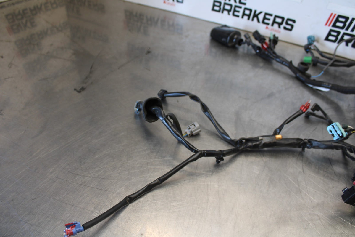 24-25 KAWASAKI NINJA 500 ABS MAIN ENGINE WIRING HARNESS WIRE LOOM BB899
