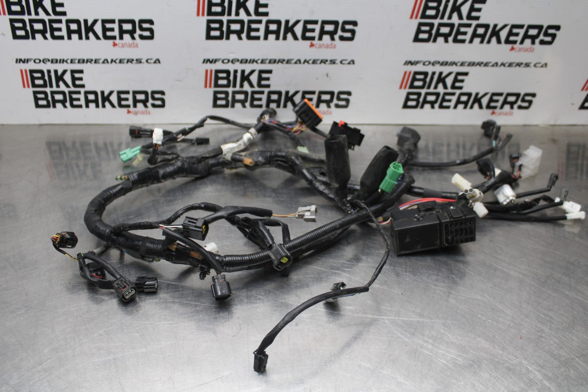 17-24 SUZUKI SV650 MAIN ENGINE WIRING HARNESS MOTOR WIRE LOOM BB829