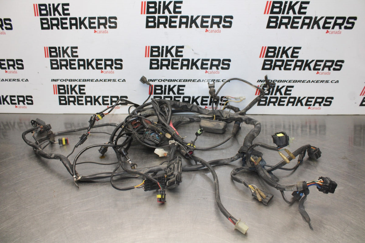 02 DUCATI MONSTER 620 MAIN ENGINE WIRING HARNESS MOTOR WIRE LOOM BB851