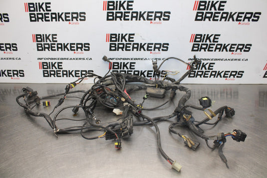 02 DUCATI MONSTER 620 MAIN ENGINE WIRING HARNESS MOTOR WIRE LOOM BB851