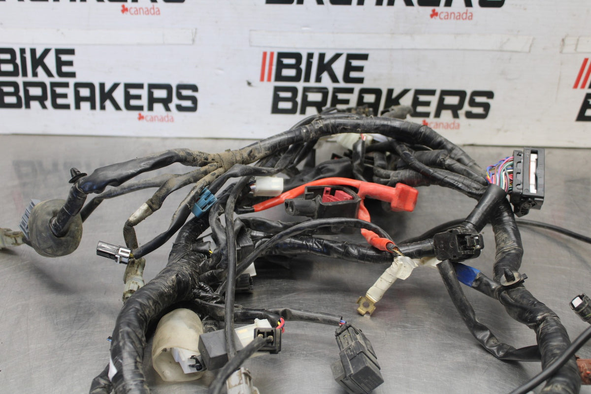 19-24 YAMAHA R3 MAIN ENGINE WIRING HARNESS MOTOR WIRE LOOM BB942